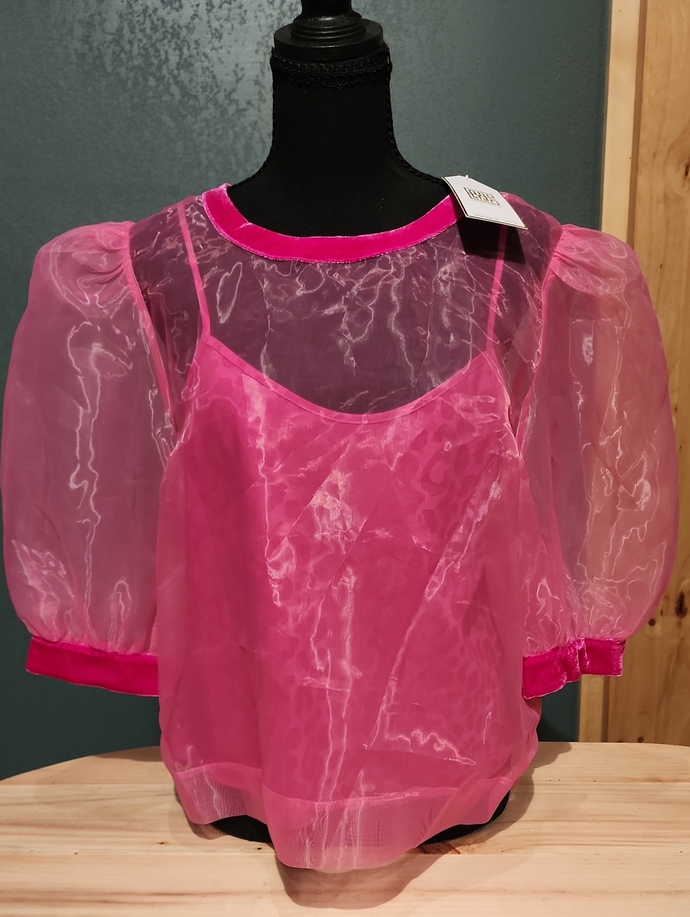 Bella Top Semi-Sheer Hot Pink Puff Sleeve Blouse